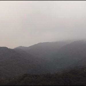 Meet your Posher, Gregory